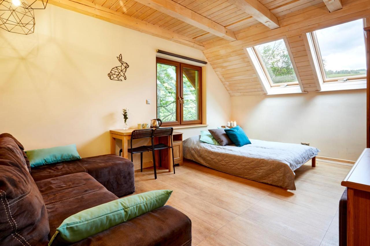 Apartamenty Na Poludniowym Stoku Wierchomla Mala Extérieur photo