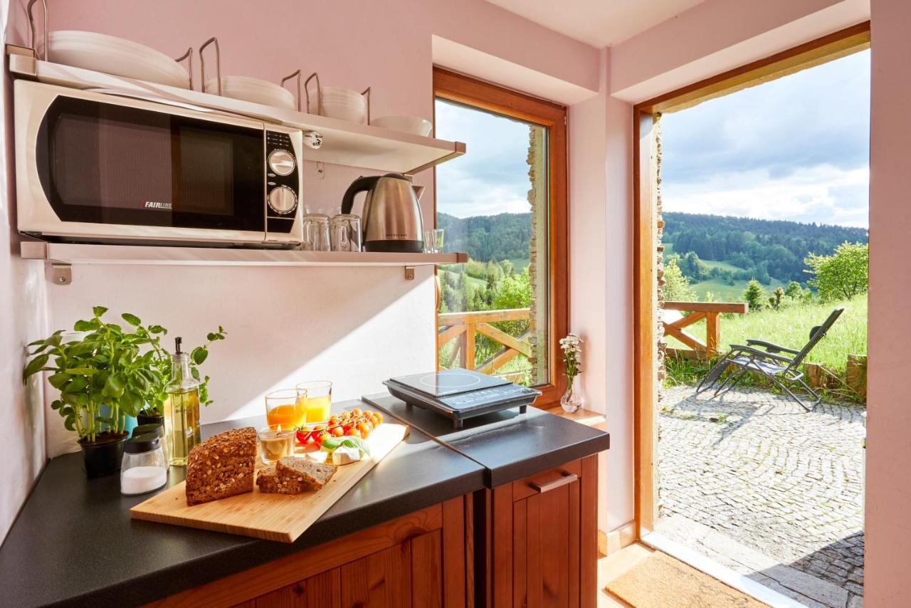 Apartamenty Na Poludniowym Stoku Wierchomla Mala Extérieur photo